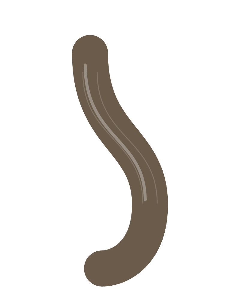 Umbrella handle illustration